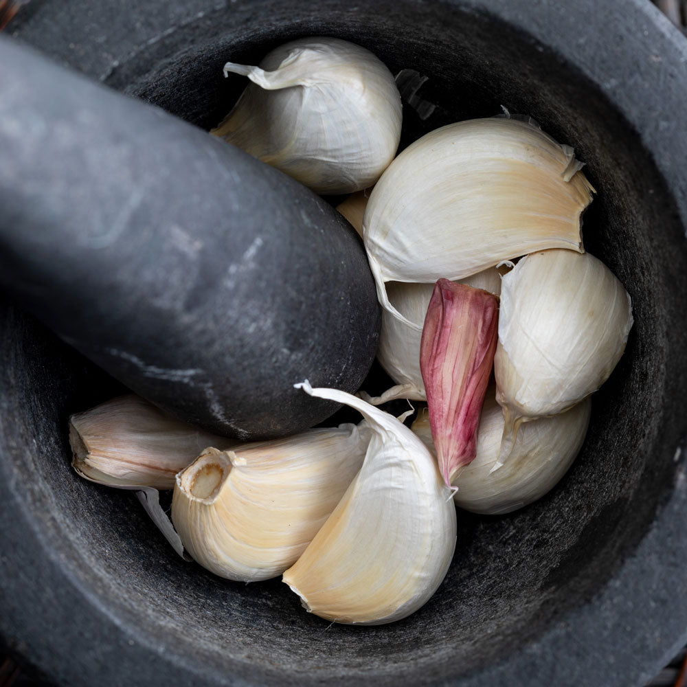 Knoblauch im Mörser